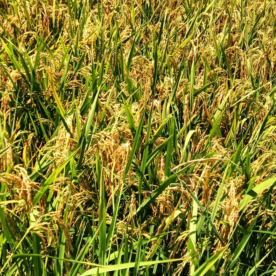 开心快乐每一天