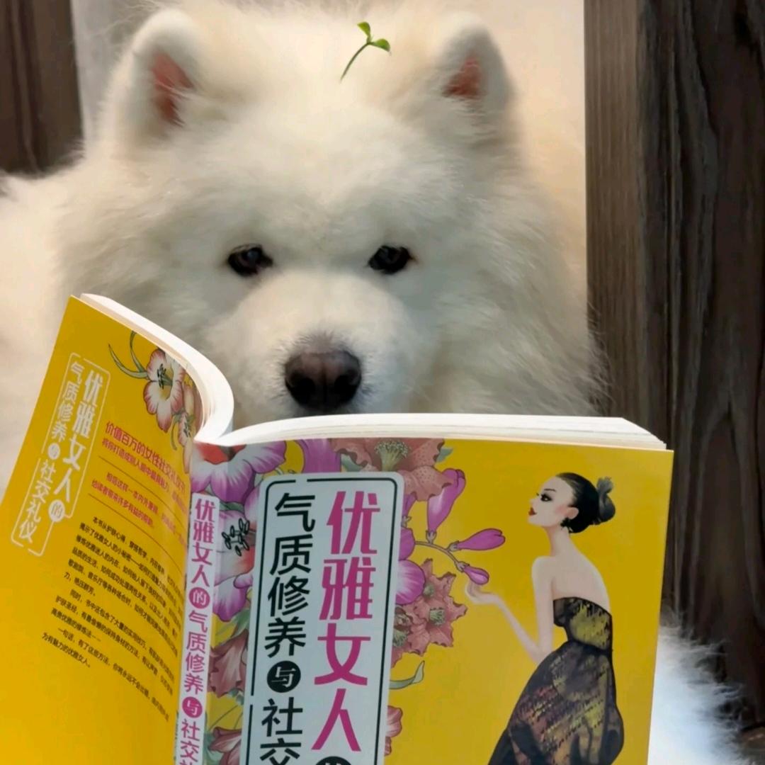 生气就像玉米花爆炸了
