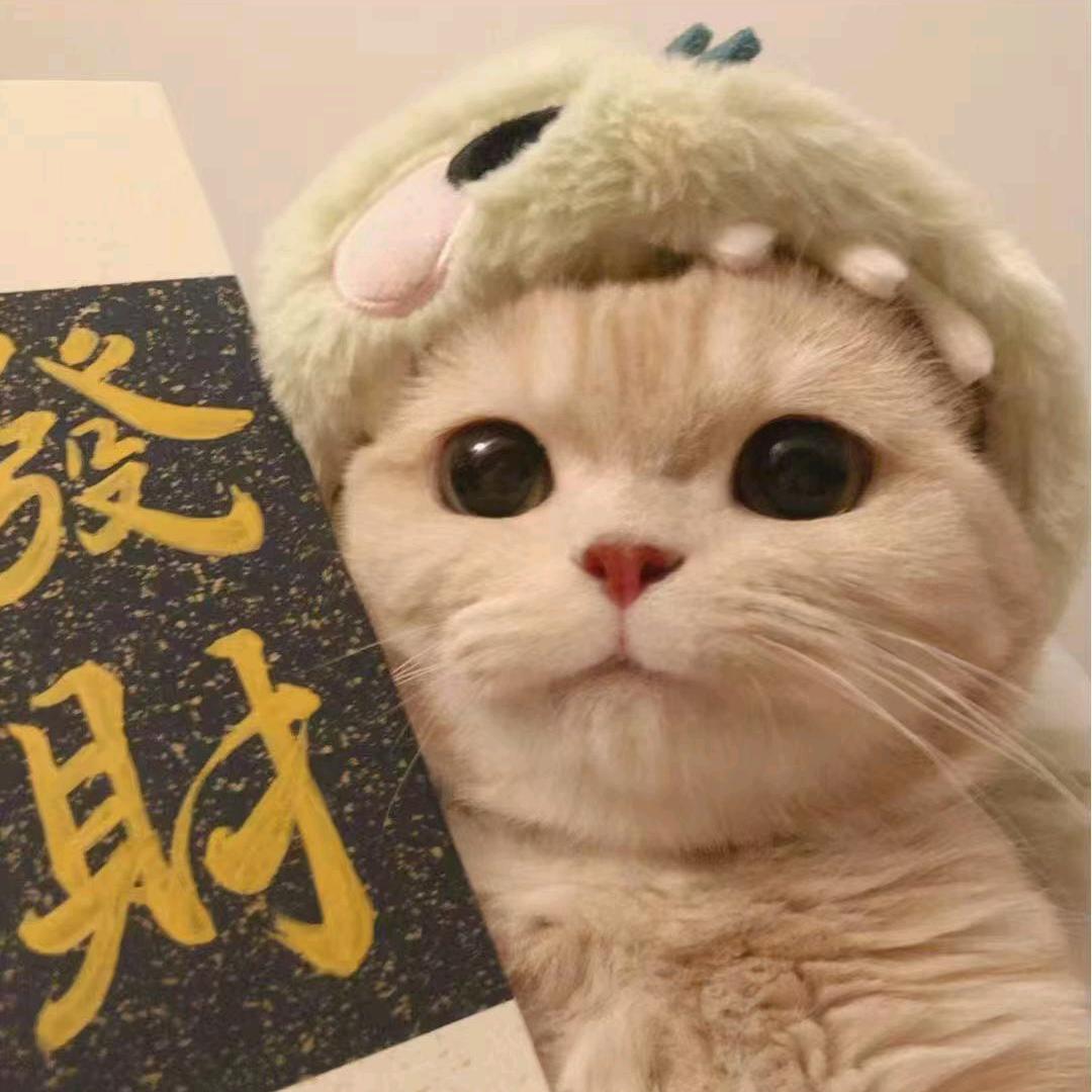 开心小狍(硬磕🍅版)