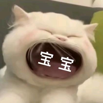 栗 子  .