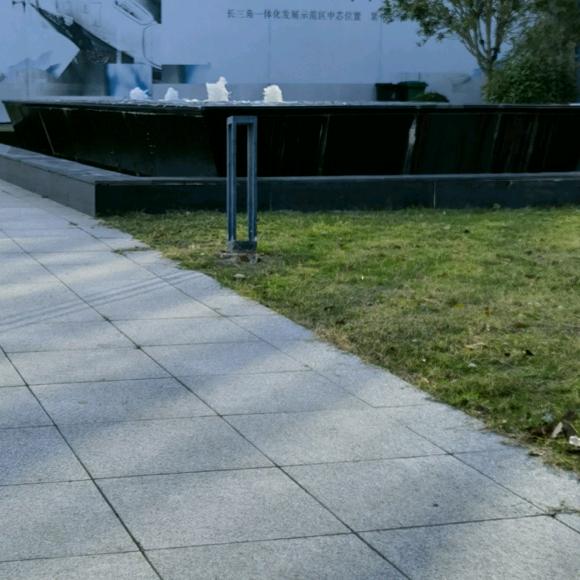 你真我更真