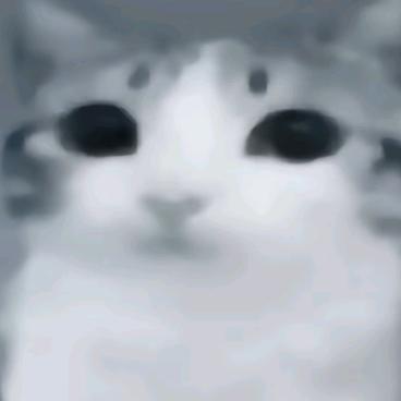 666绘圈有桂我不画了