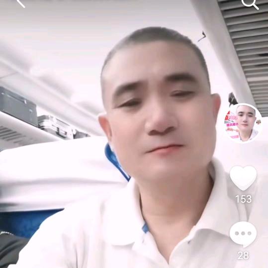 小白杨