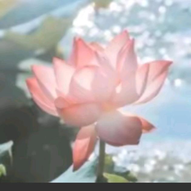 ᠻꪶꪮꪡꫀᖇ🍂