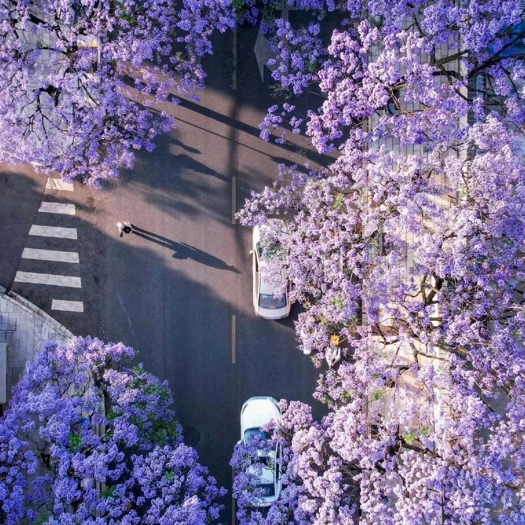 杨六六日常说