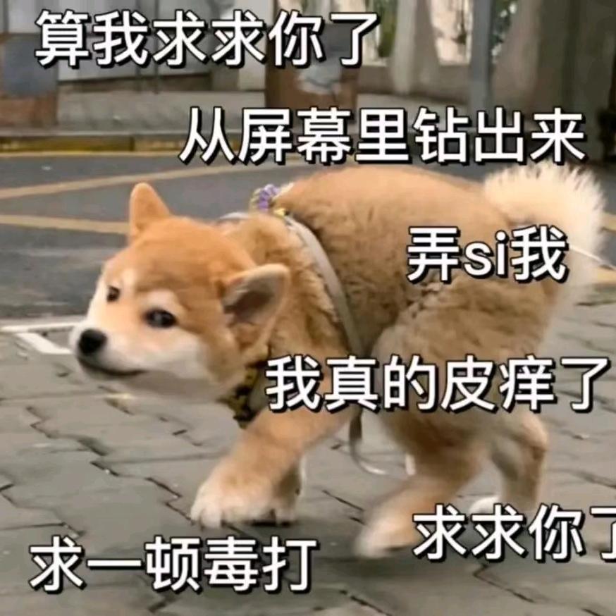 短刀涂屎捅谁谁叫