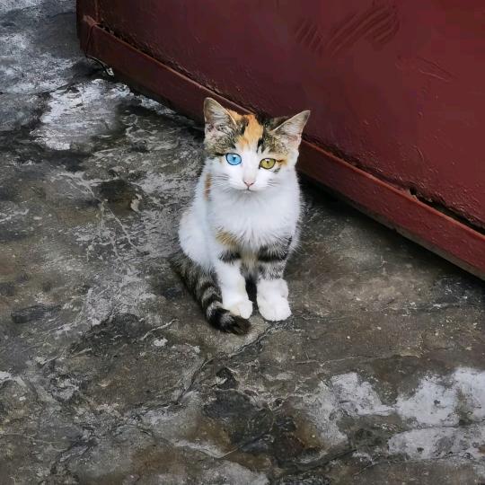 壹