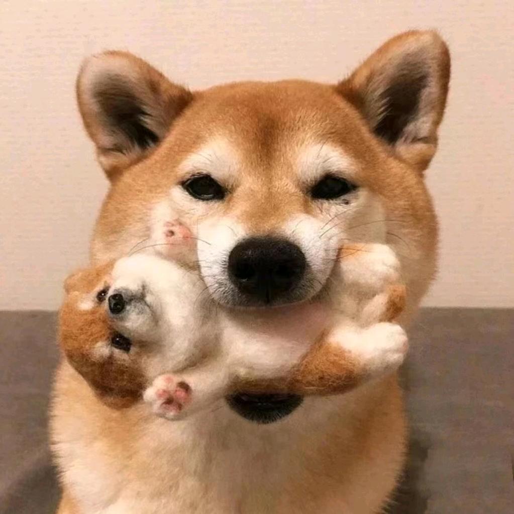 春三廿六