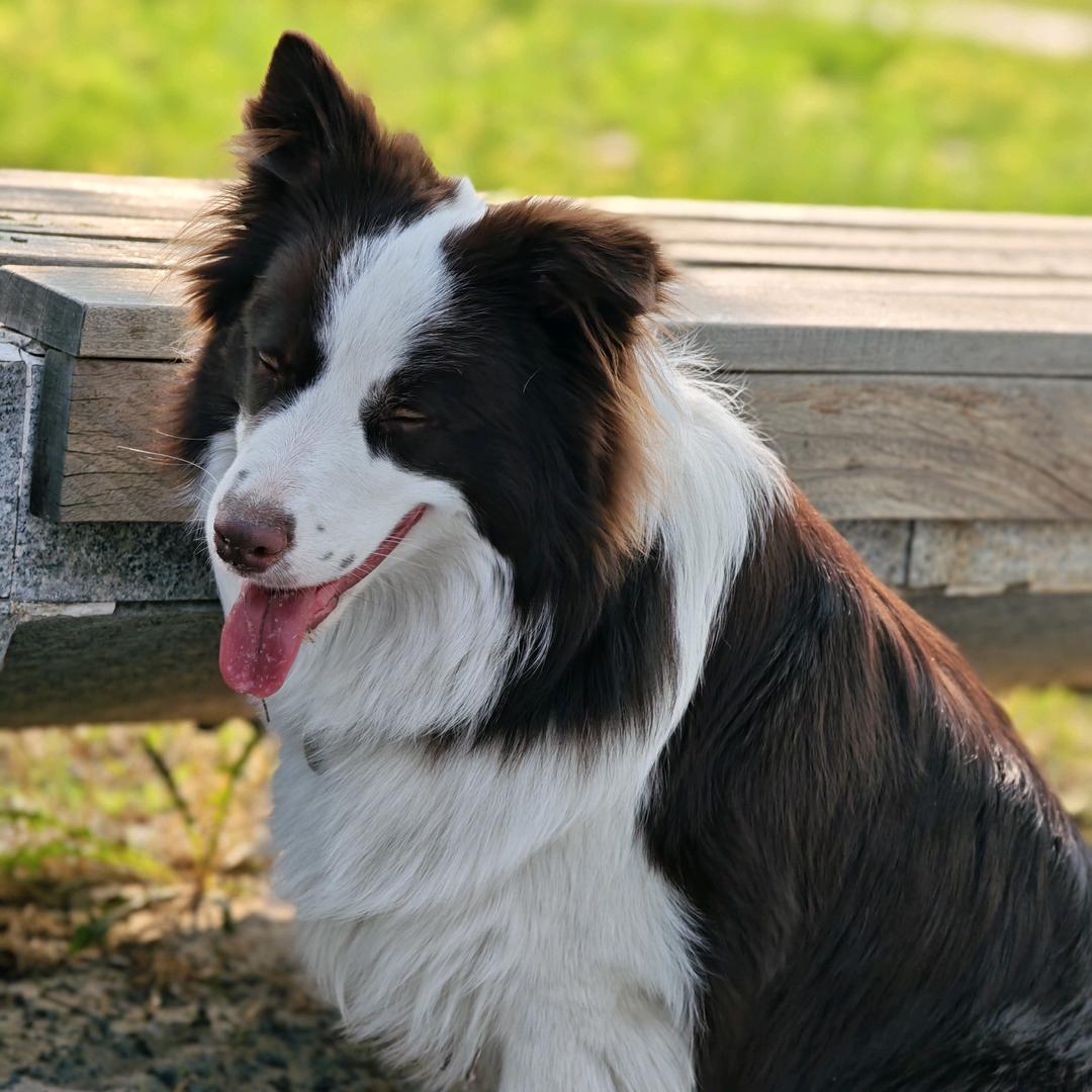 钱多多瘦不下来