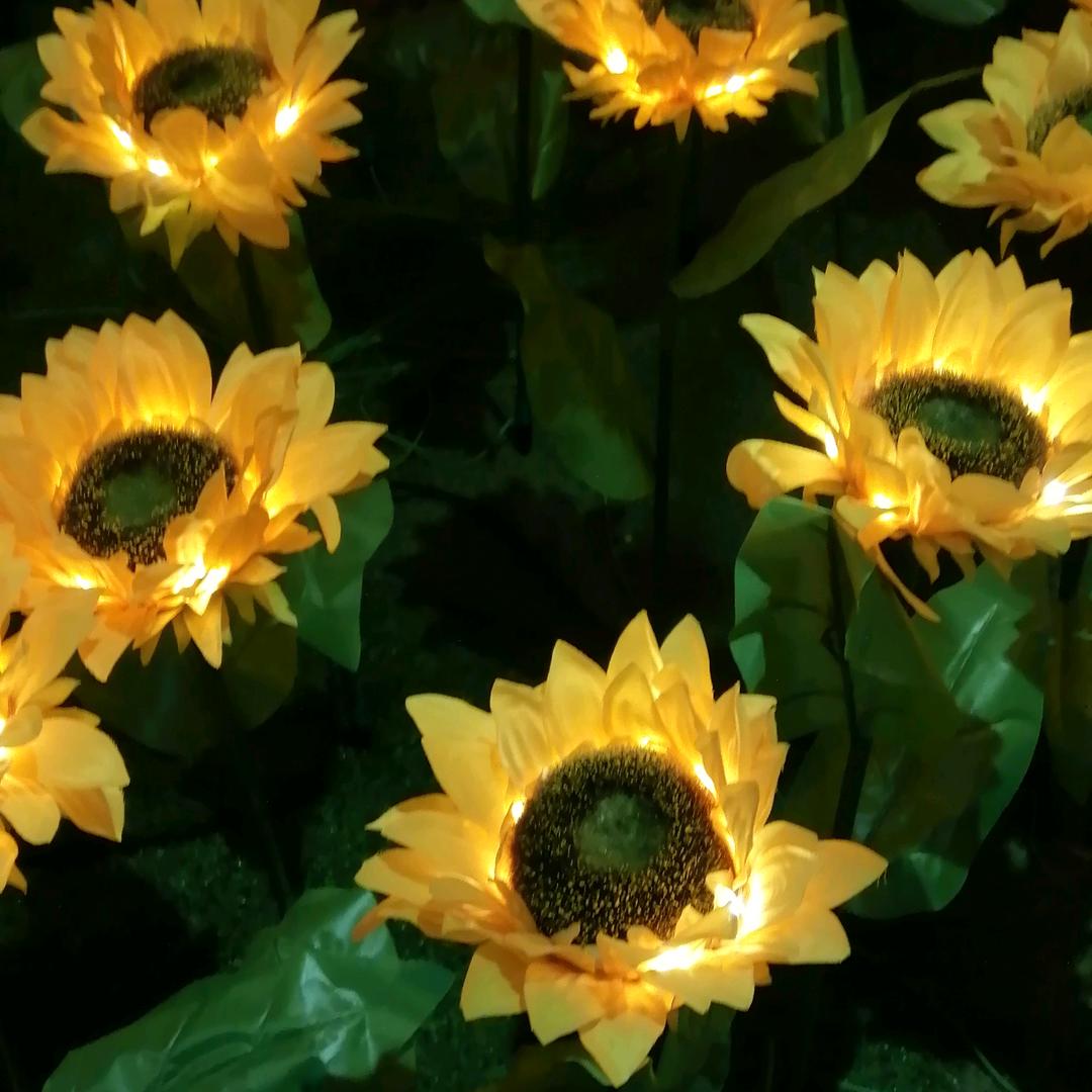 死海里的鱼【🐠】