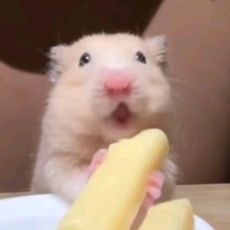 酒馆.
