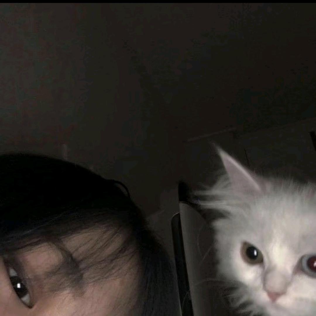 Cchen