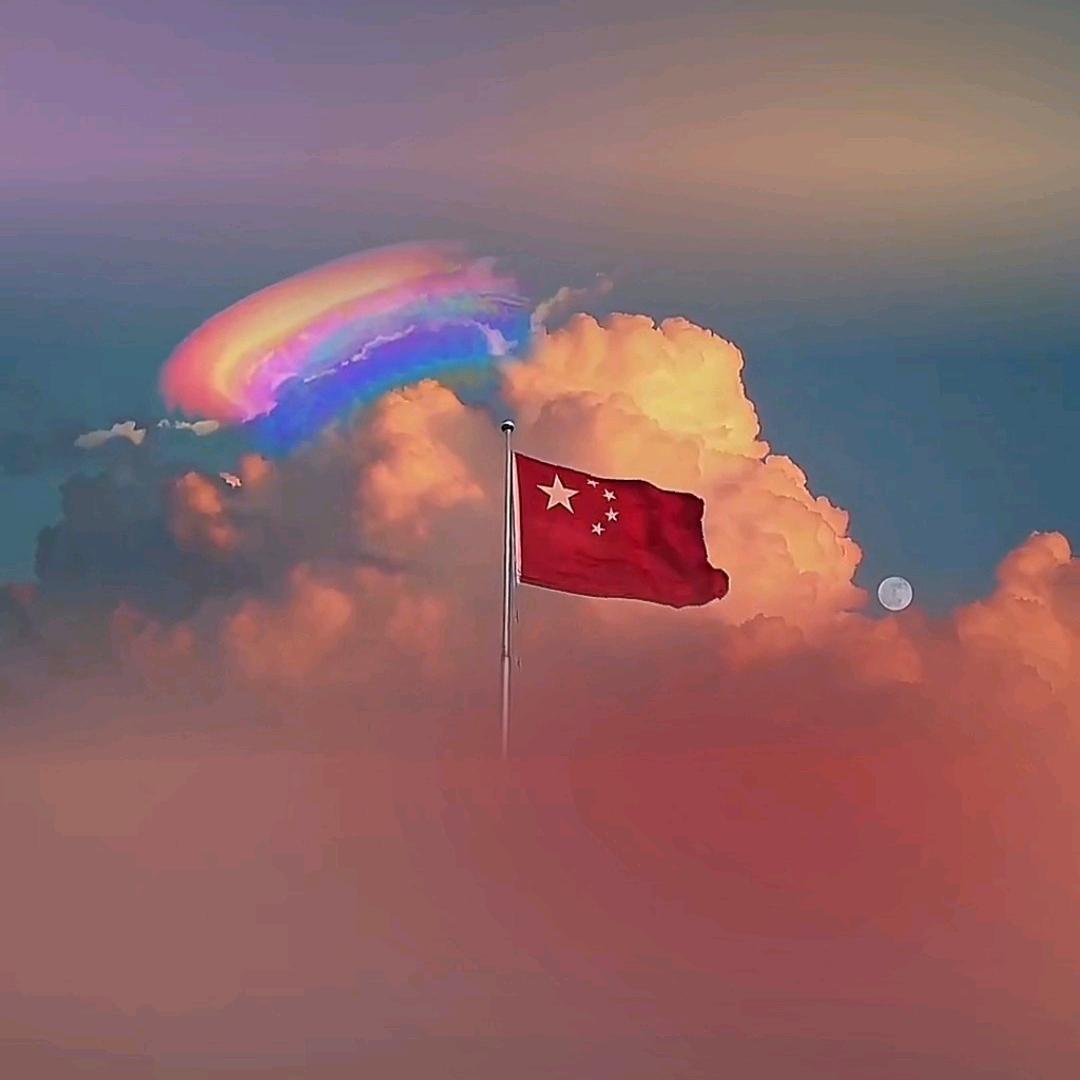 虾仁泛