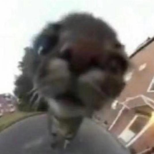 哈皮马欠我10w宝石