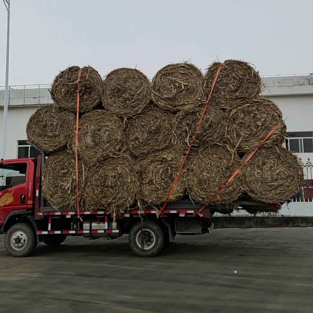 飞符队秸秆离田打包一条龙服务