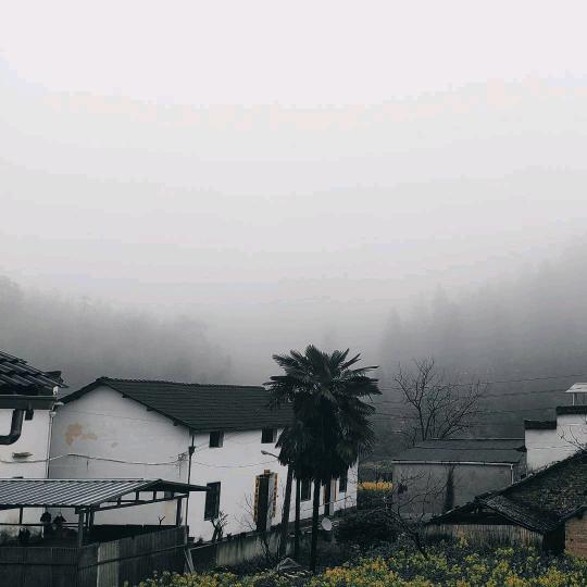 枫🚶🏻‍♂️