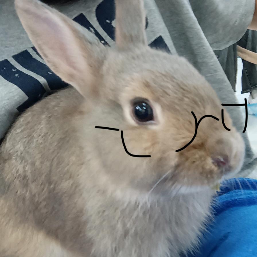 酸