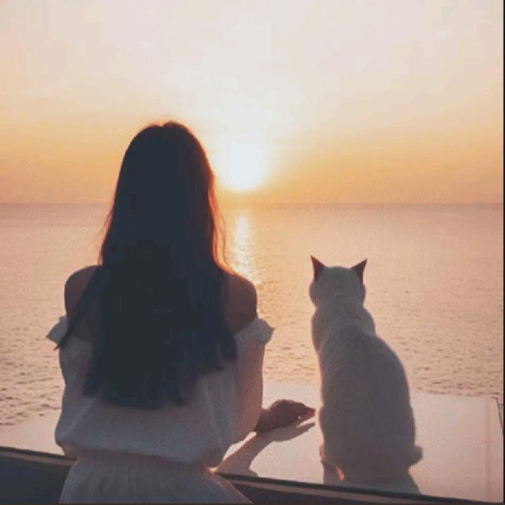 : ღ᭄꧔ꩵ終點প᭄᪲: ヾ