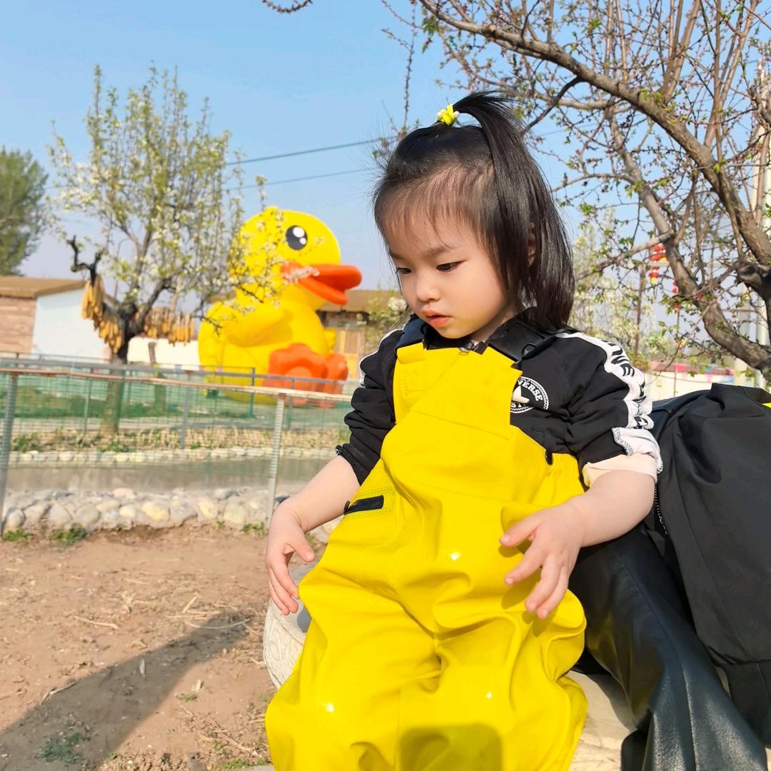 鱼姑娘的饭
