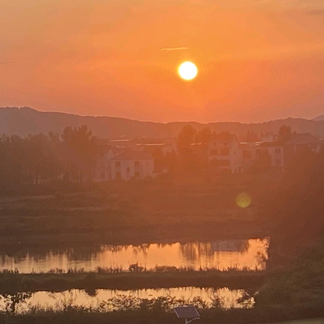 小怂夏