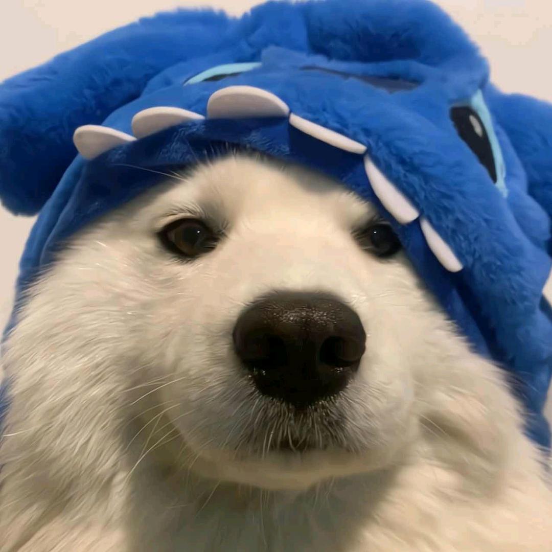 呜昂王.