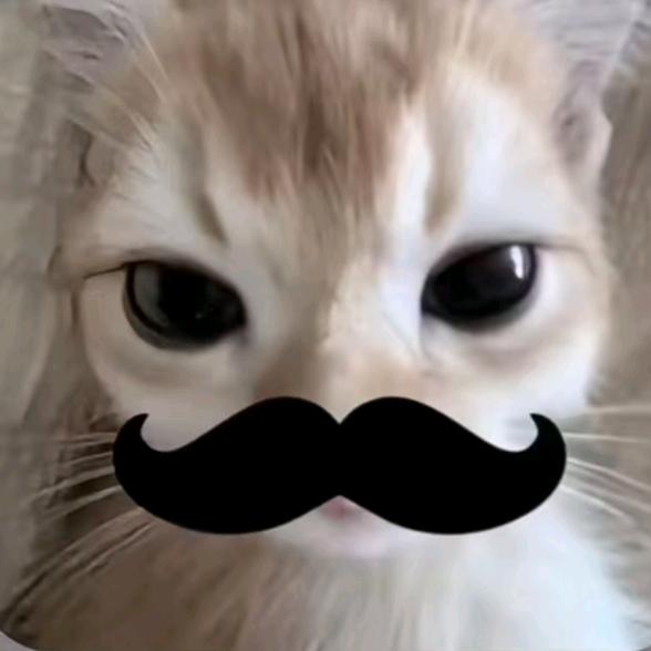 Ooooo
