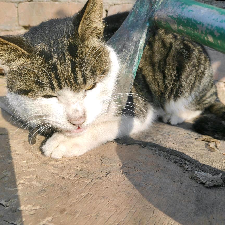 🌈🌈🌈🌈🌈杰哥🌈