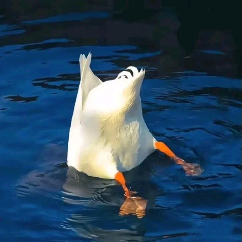 葫芦娃不睡懒觉