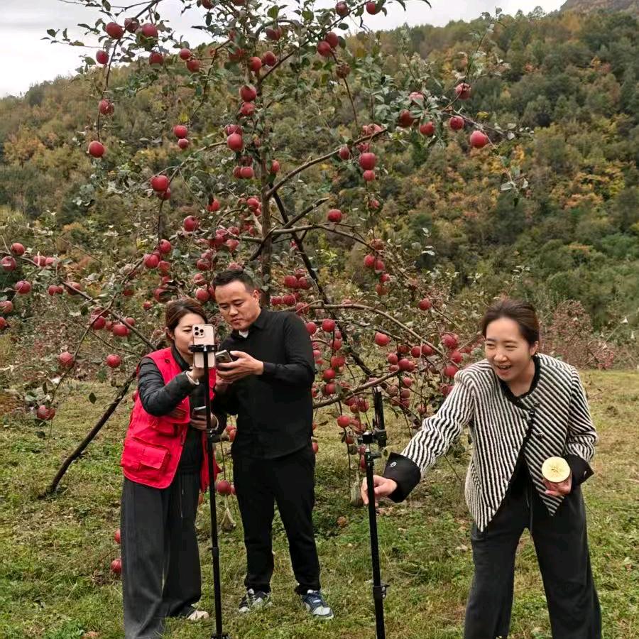 小陈支书（陈攀）
