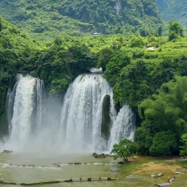 紫气东来