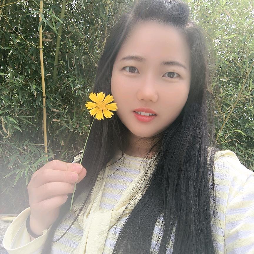 🌻🌻🌻