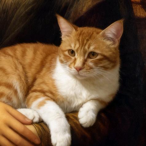 西岐长公主🐟🍅