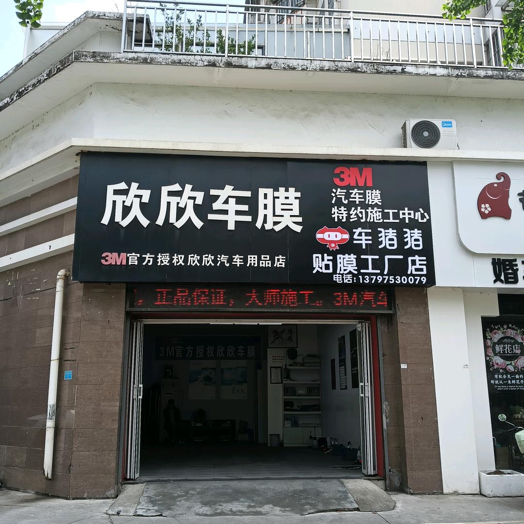 车猪猪欣欣车膜