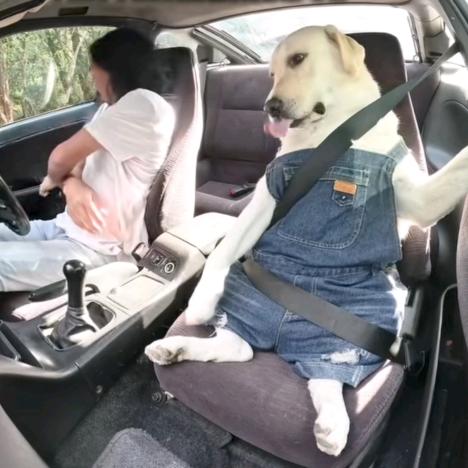 凪卄ᝰ