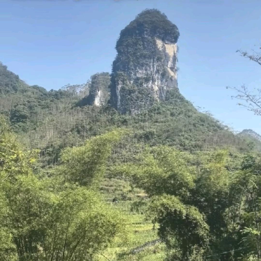 孤城