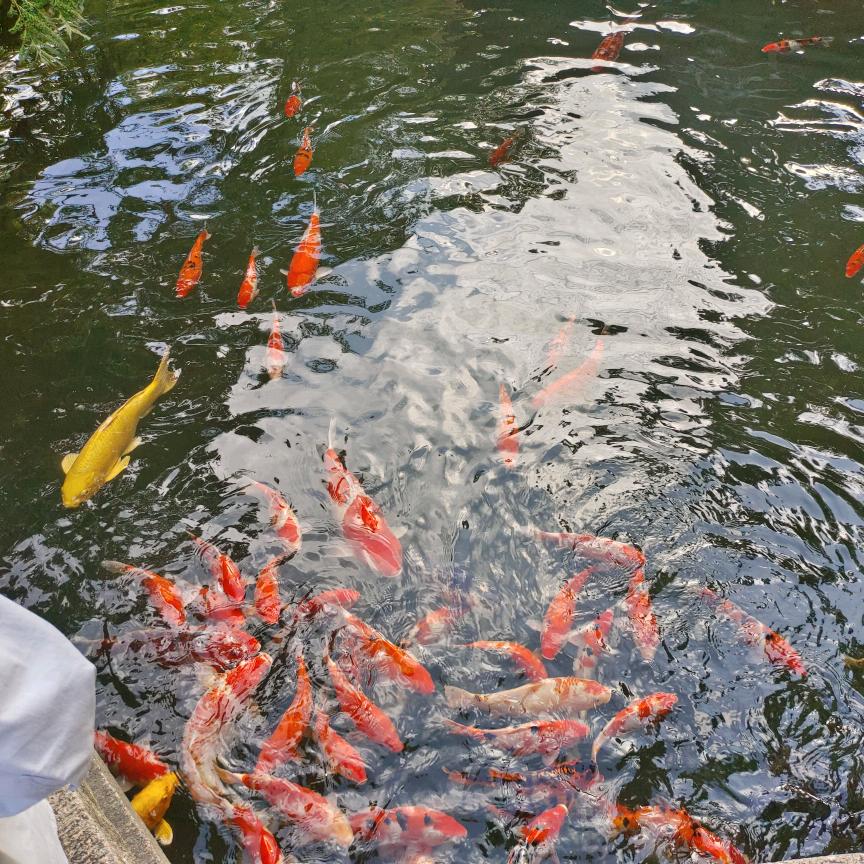 不夜城