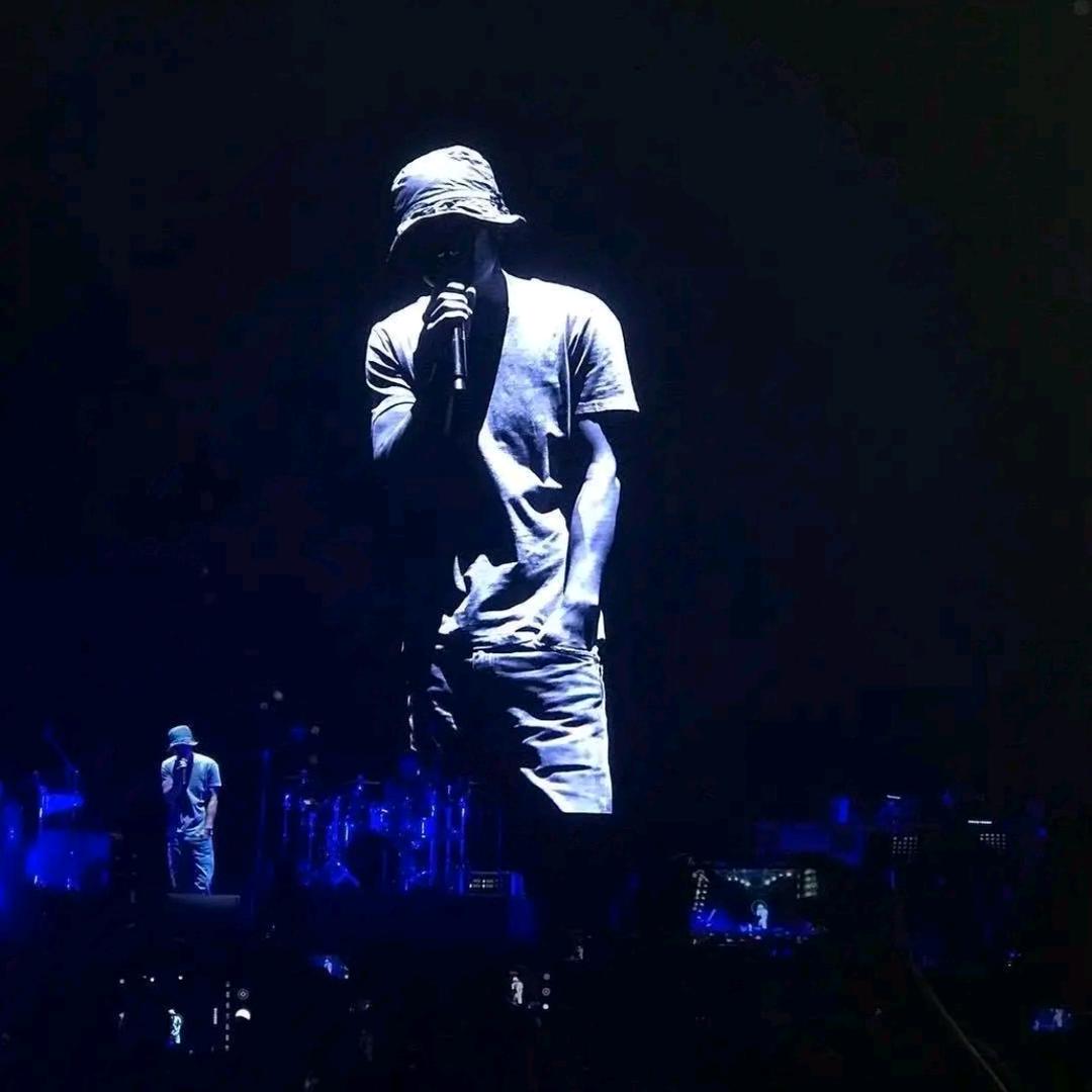 ༊梵高的向日葵⋌®