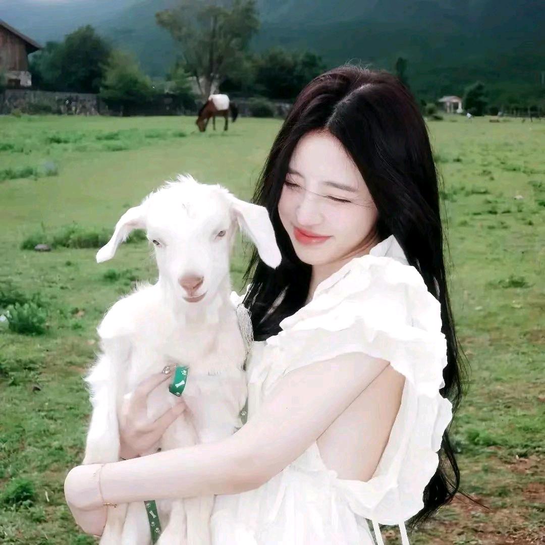 小白单机自选硬盘