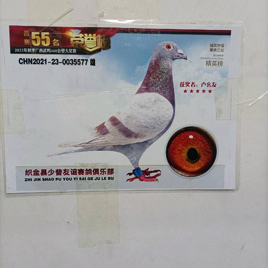 过好每一天。