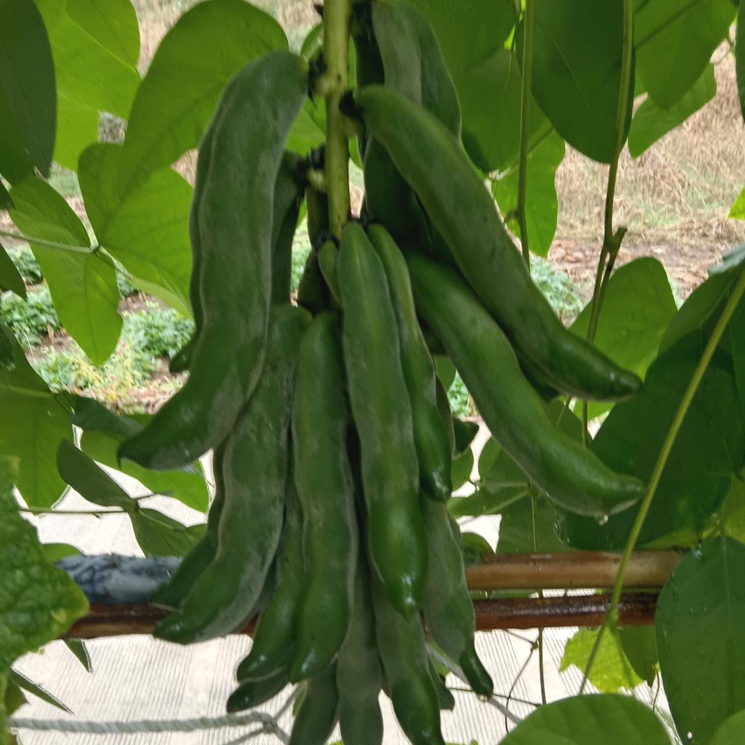 永远幸福