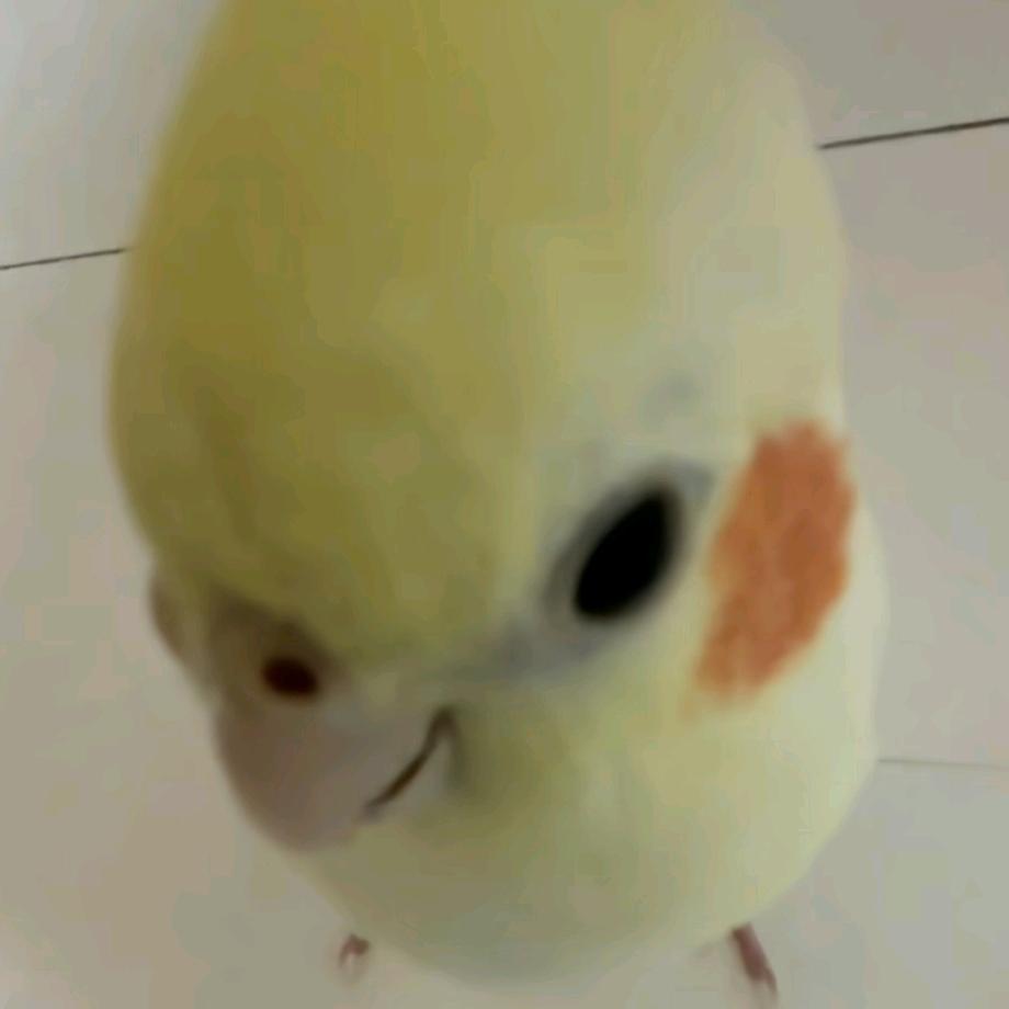 🏃‍♂️茹🌸