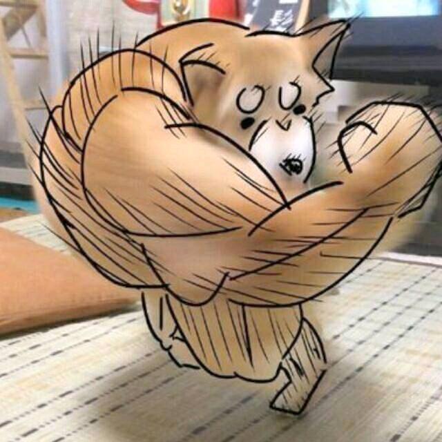 鹅小钢