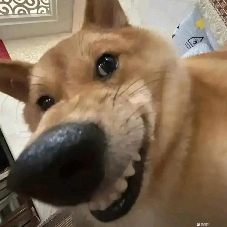 辣椒炒鸡蛋