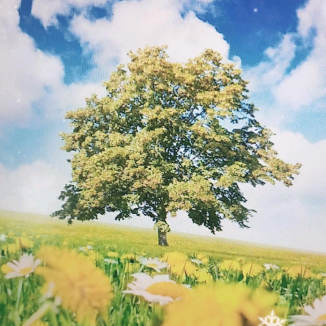 杭州阿提斯科技有限公司