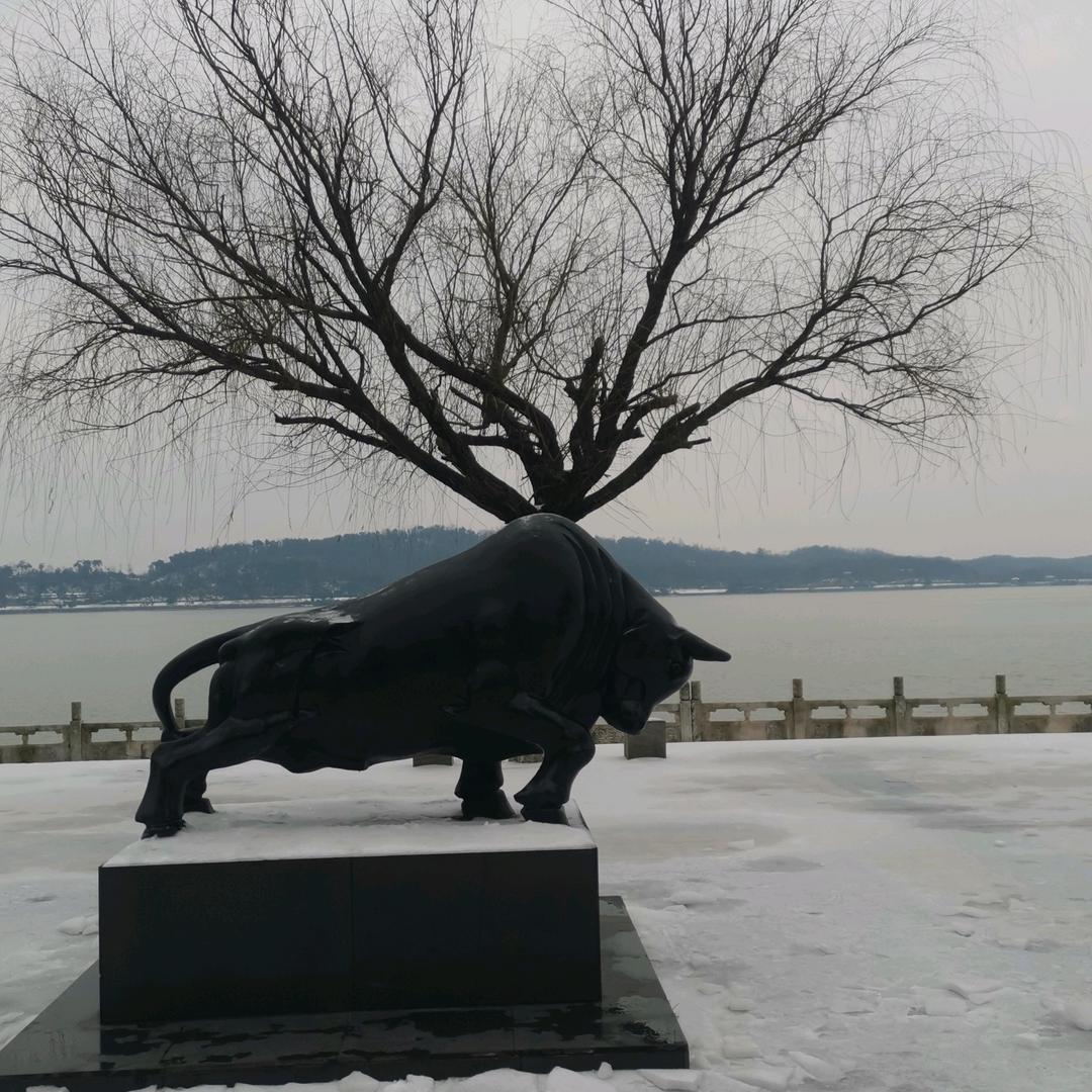 鹏程万里