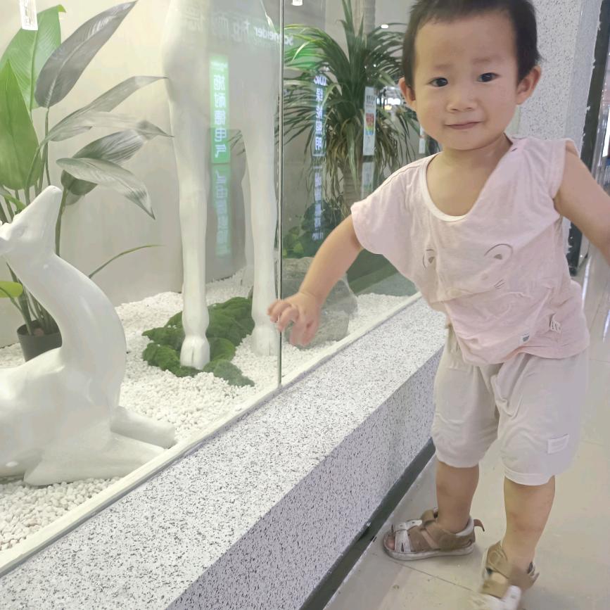 春天的雨荷zxc