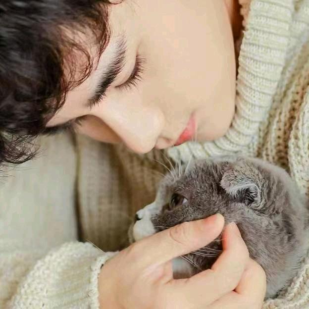 李加猫🌈