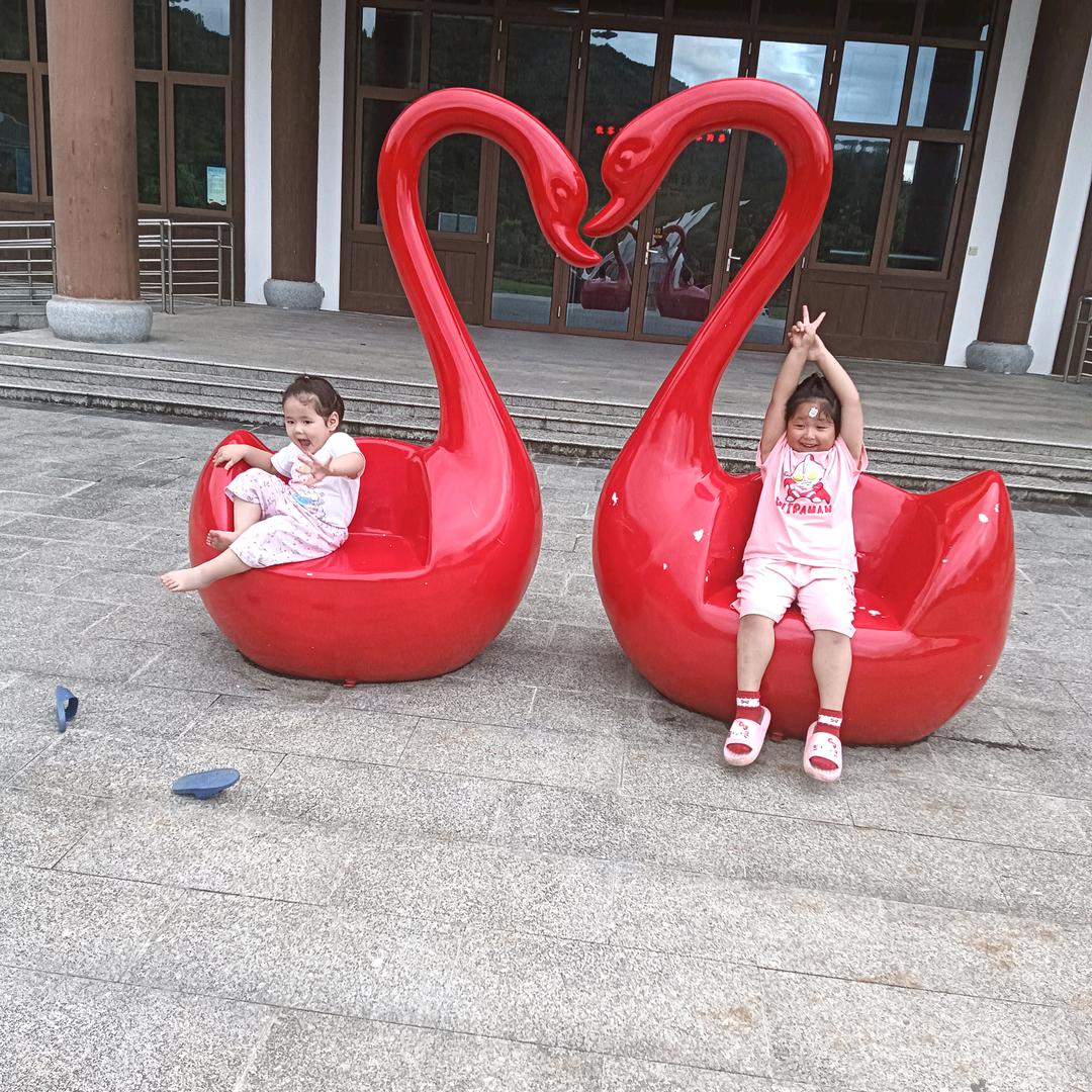 大宝小宝成长记录