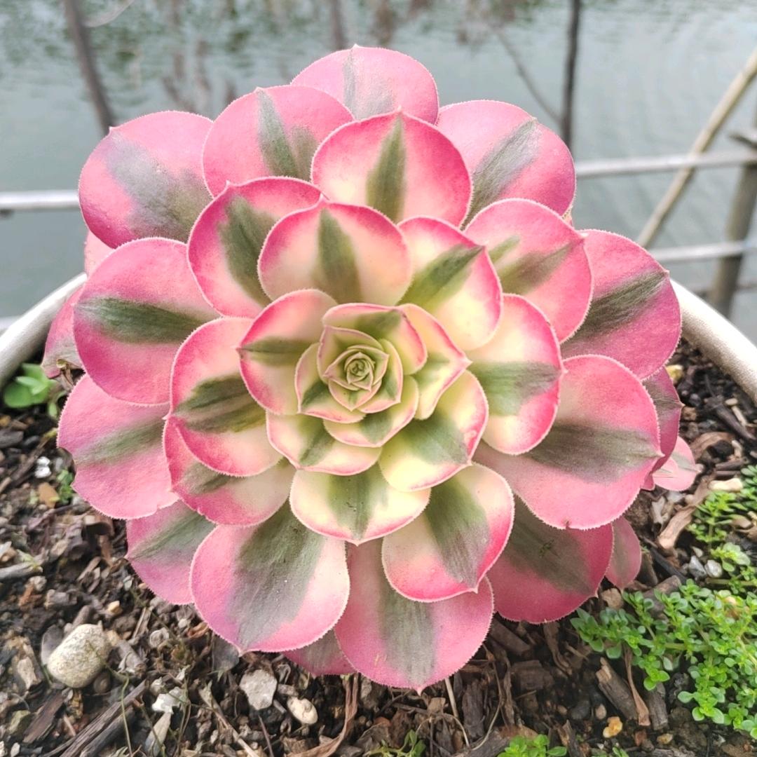 做自己的光，不需要太亮