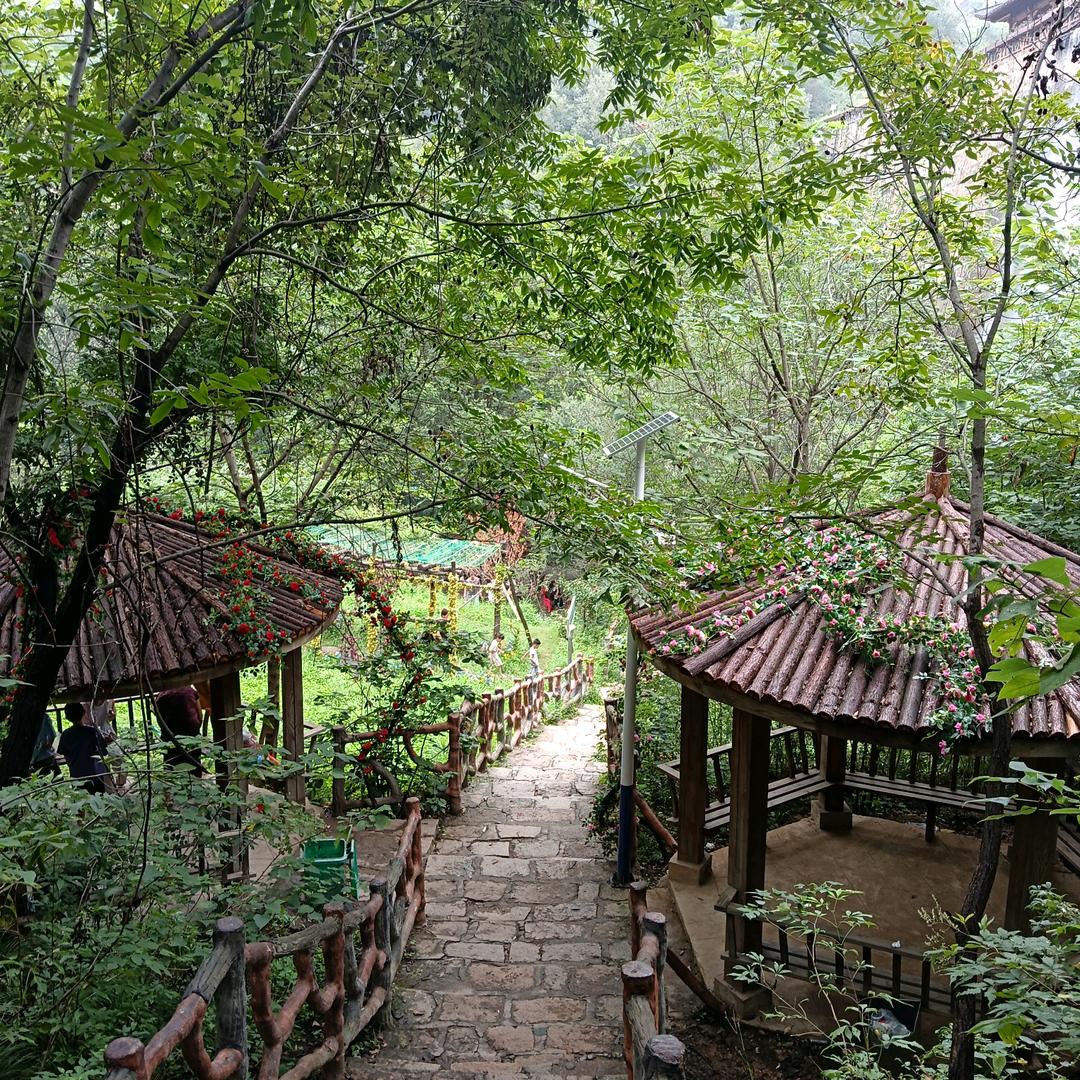 明天会更好